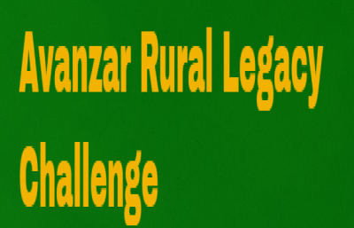 Gráfica para web (15)