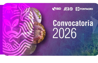 Gráfica para web (16)